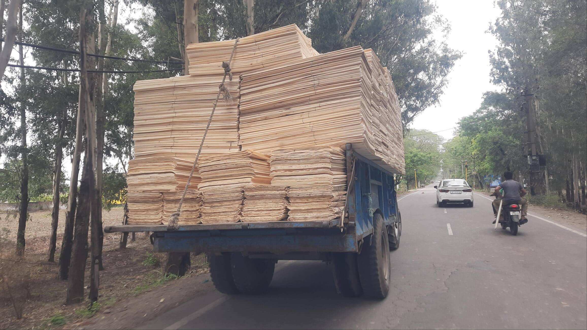 फैक्ट्री में जाती प्लाई पत्ते से भरी ट्राली। संवाद