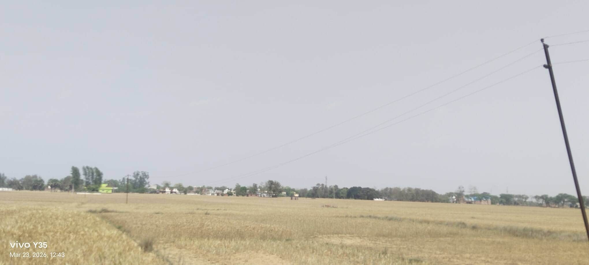 खेत में झूल रहे बिजली के तार।