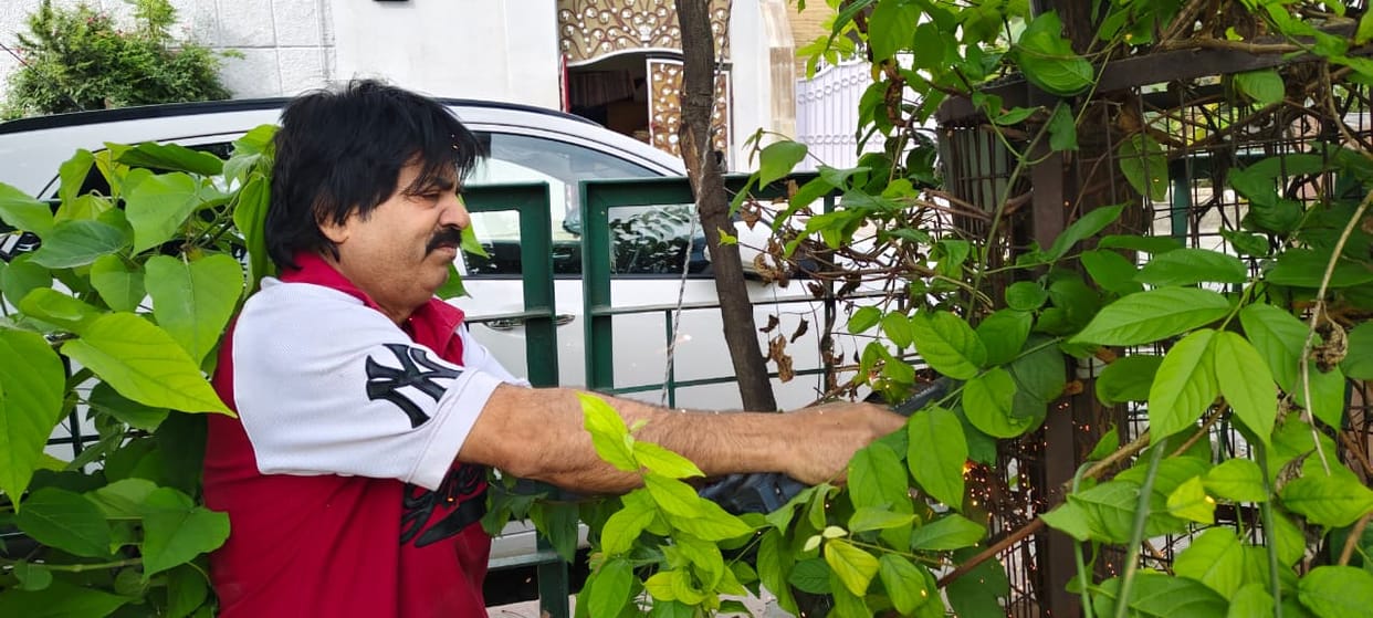 Campaign launched to free 2829 trees from tree guards