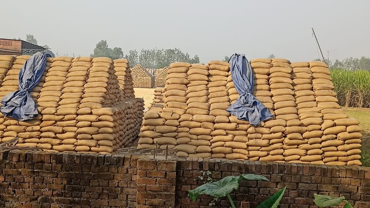 Uttarakhand: गेहूं और धान खरीद पर अब दो प्रतिशत मंडी शुल्क, कैबिनेट में प्रस्ताव को दी गई मंजूरी