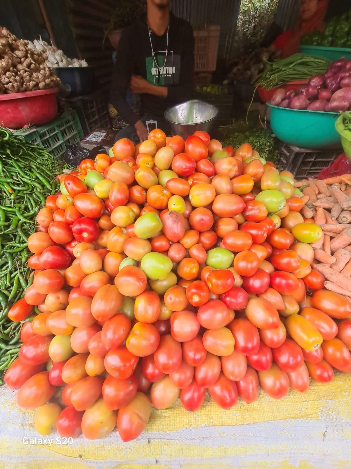 Wholesale price of tomatoes reaches Rs 5 per kg