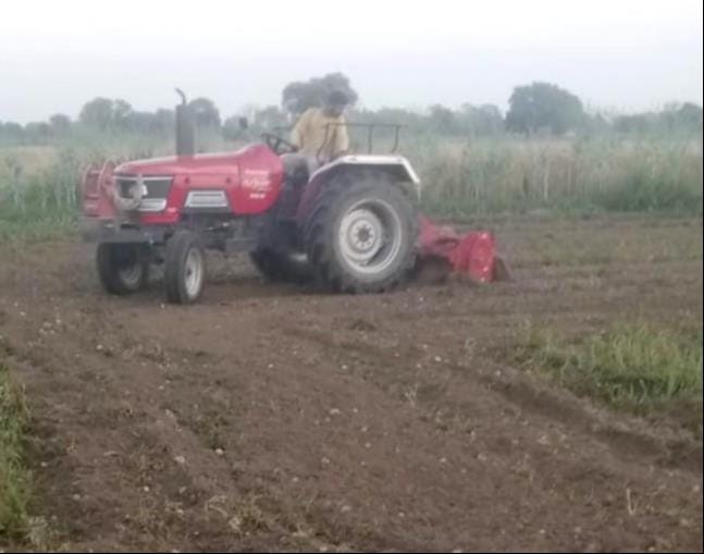 Distressed by the lack of remunerative prices, a farmer ran a tractor over his 5-bigha potato crop.