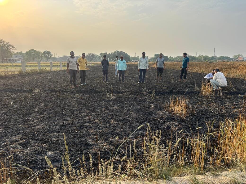 Fire breaks out in standing wheat crop