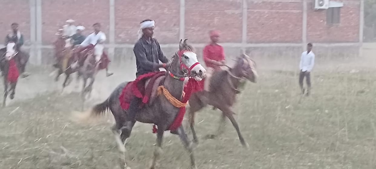Horse racing resumes in Kashi after 30 years; Marwari, Kathiawadi and Manipuri breed horses arrive