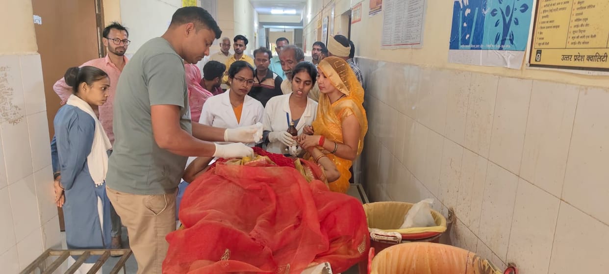 A monkey in front of a rickshaw causes it to overturn, injuring nine.