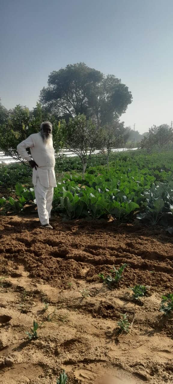 फोटो 1किसान ओमवीर सिंह।