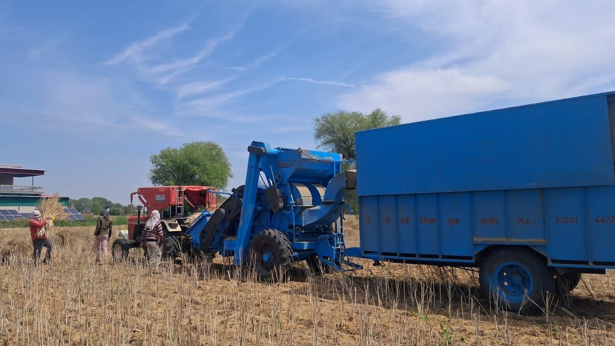 Farmers are liking the back-to-back mustard threshing machine