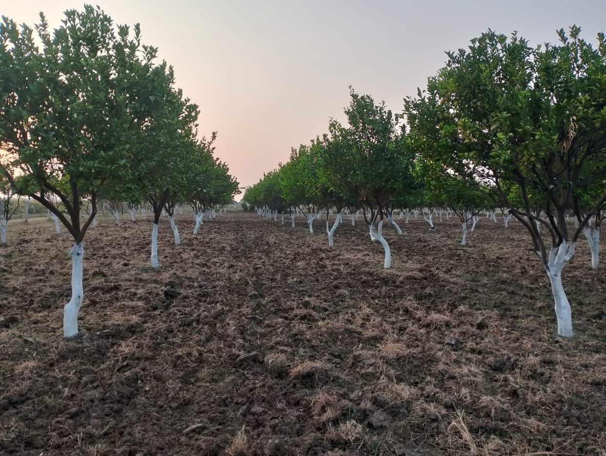 Less educated farmer changes the face of farming, doubles income from seasonal crops