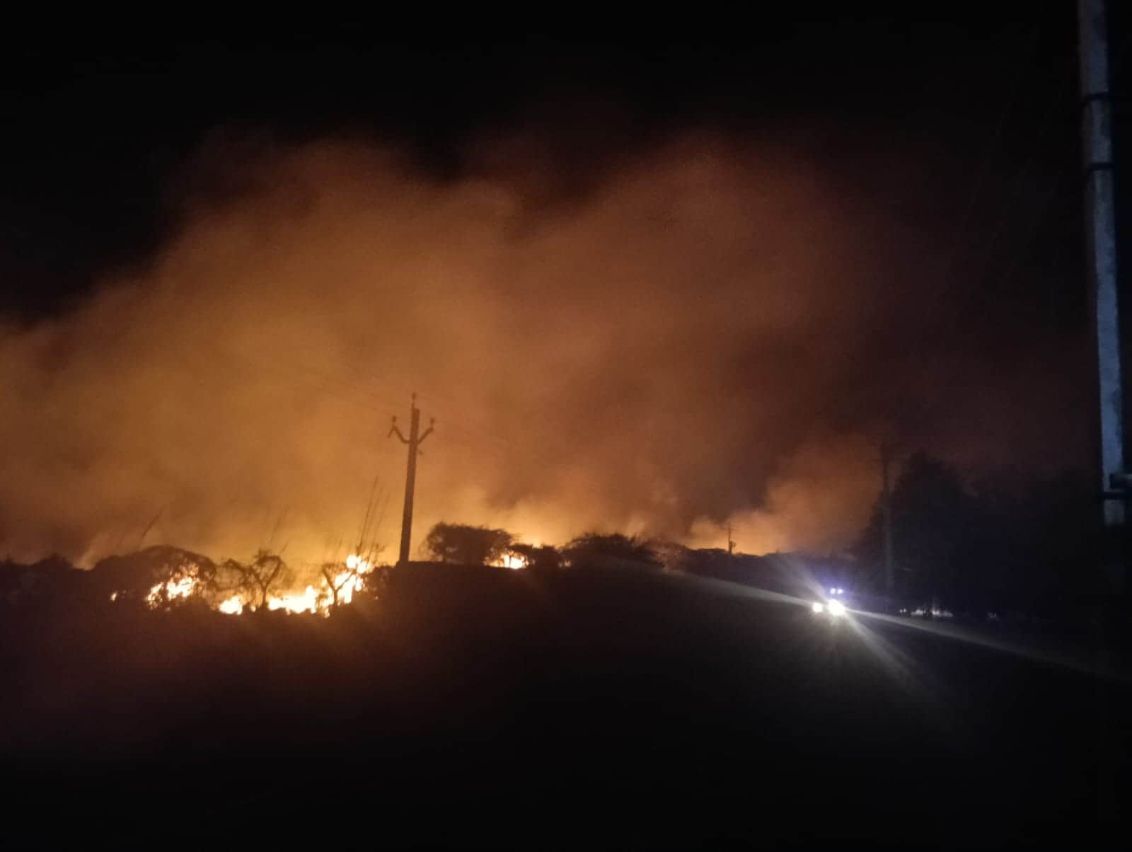 जंगल में लगी आग