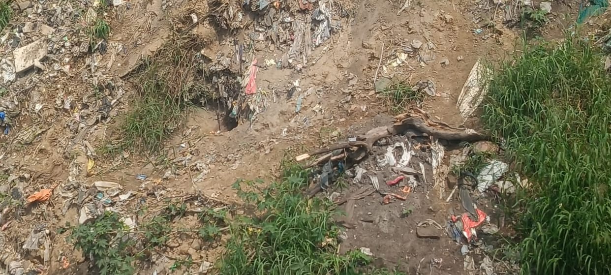 A male skeleton was found near a drain, and a pack of dogs was tearing it apart.