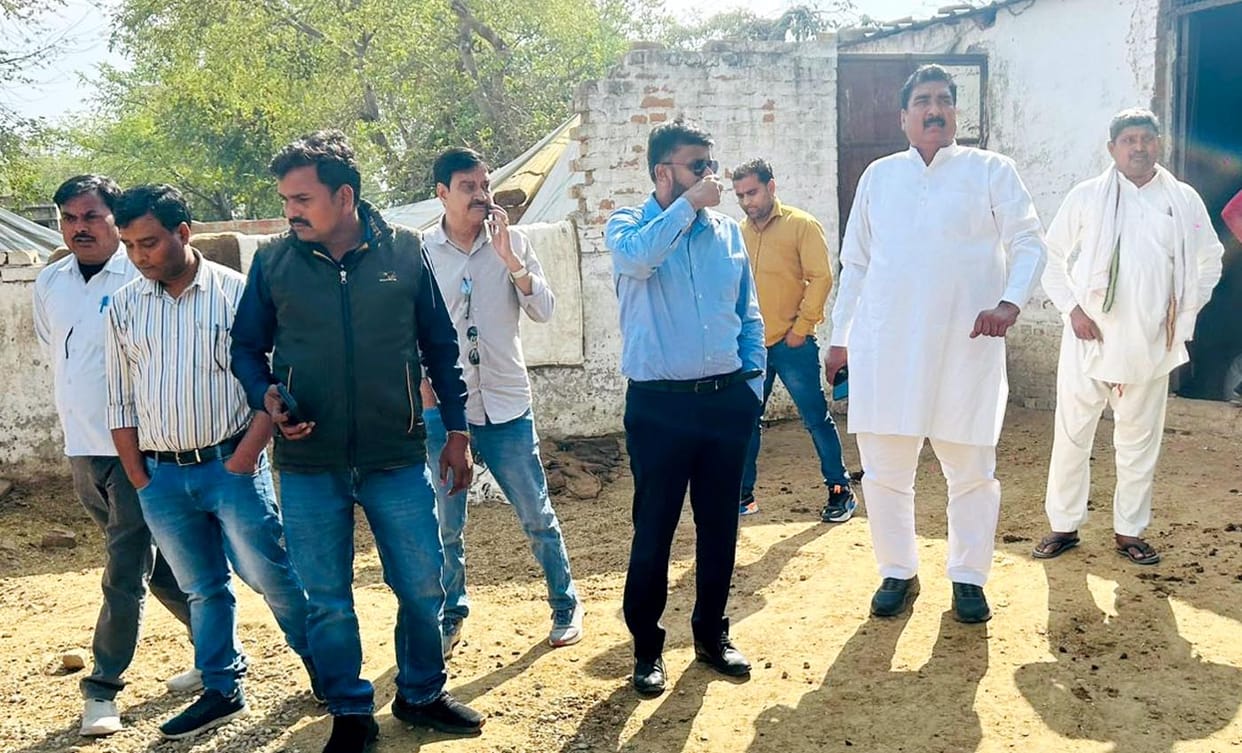 Fodder and Bran Shortage at Ujhani Cow Shelters; NGO Contract to be Cancelled
