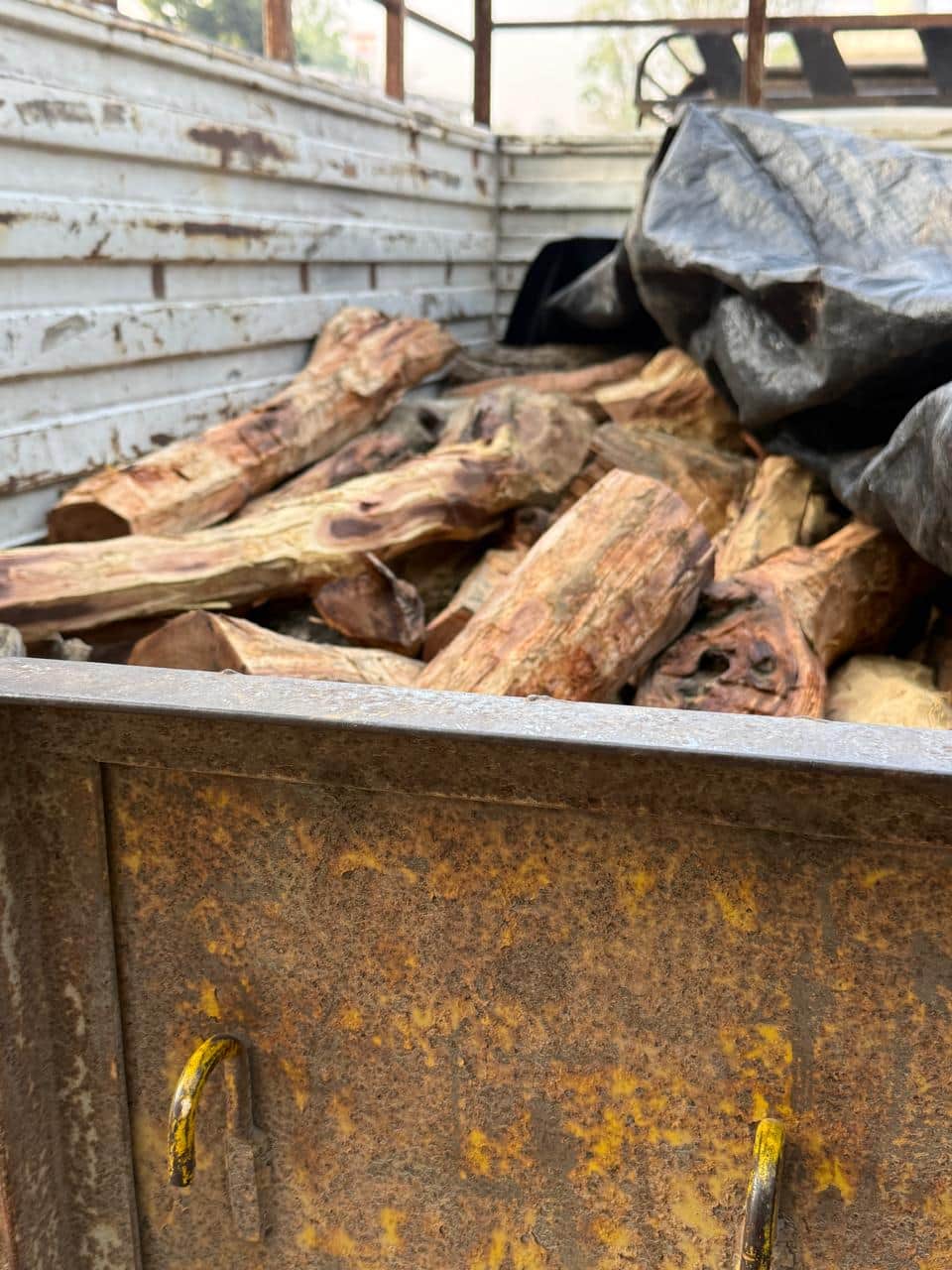 पकड़ा गया खैर से कैंटर। विभाग