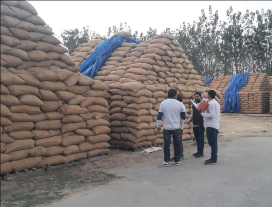No Action Taken Against Senior Officials in Paddy Scam