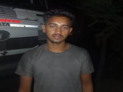 A speeding truck trampled 12 cattle in Janjgir Champa