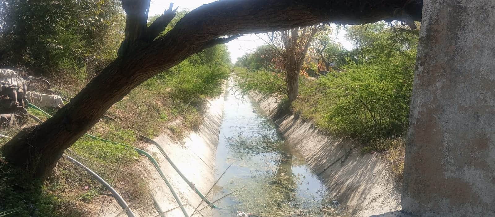 अटेली डिस्ट्रीब्यूटरी।