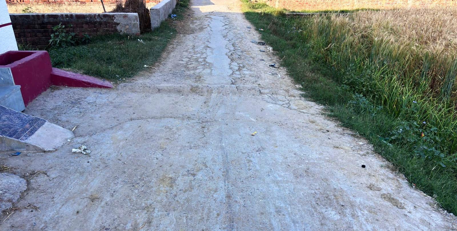 बलरामपुर के जाफराबाद गांव में निर्माणाधीन सीसी रोड।-संवाद