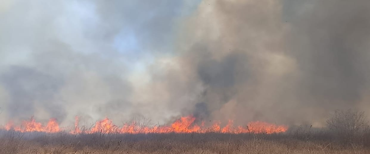 Massive fire in Ranipur Tiger Reserve, 100 hectares of forest reduced to ashes