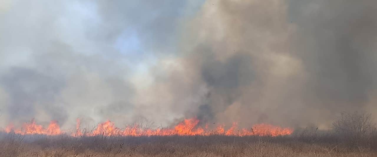 फोटो 26 सीकेटीपी 33 जंगल में धधकती आग। संवाद