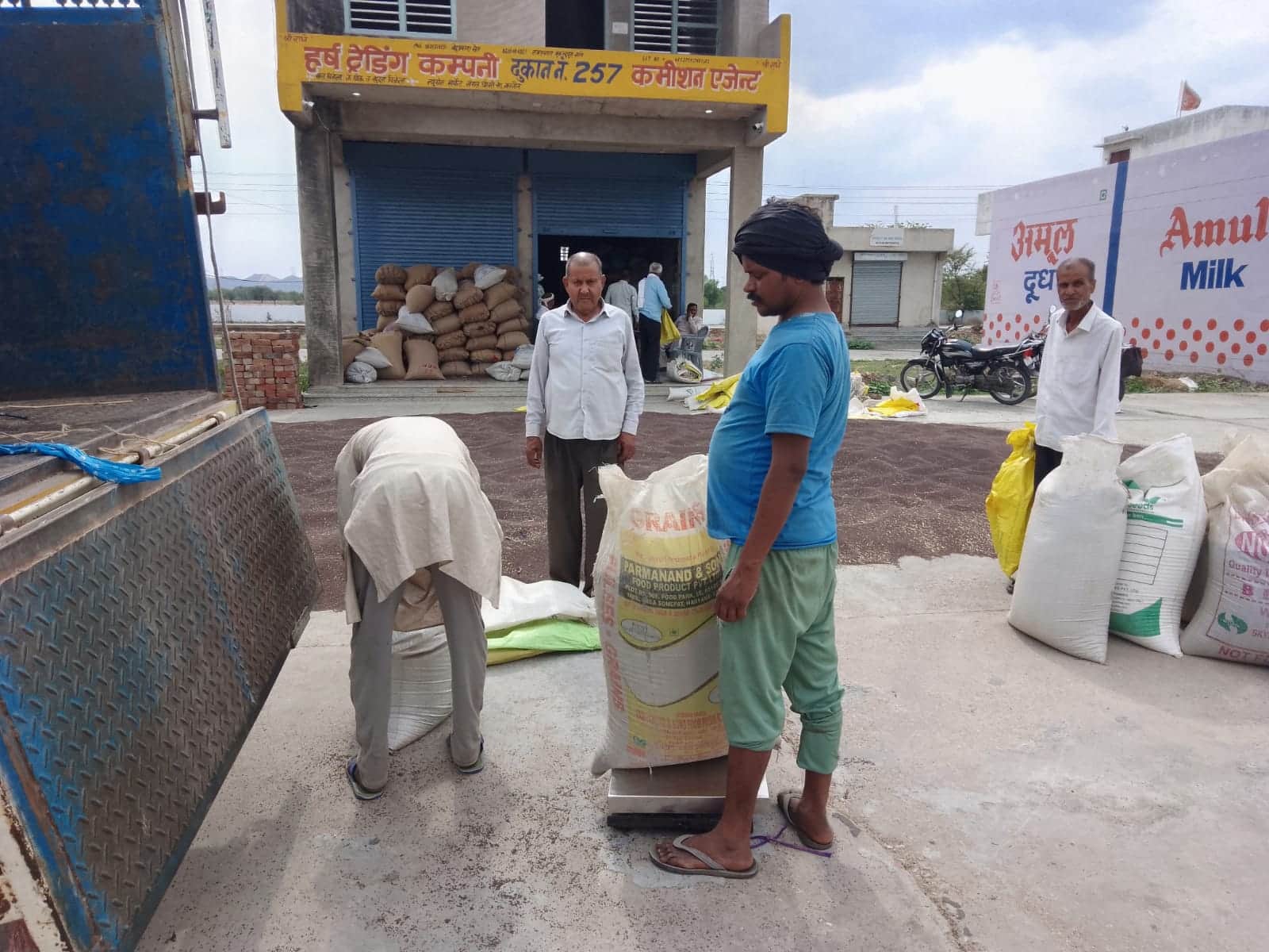 फोटो नंबर- 15नई अनाज मंडी में सरसों की तुलाई करते श्रमिक। संवाद