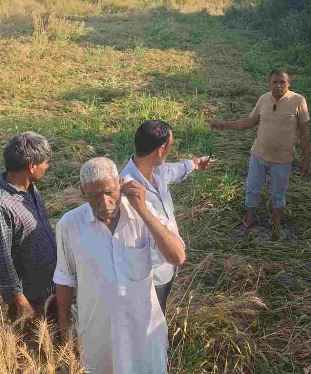 Drains overflow, water entering the fields causing crops to rot.