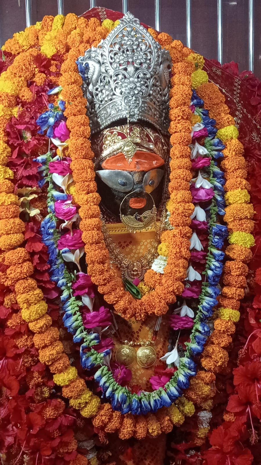 Devotees were seen desperate to catch a glimpse of the Mother on Saptami.