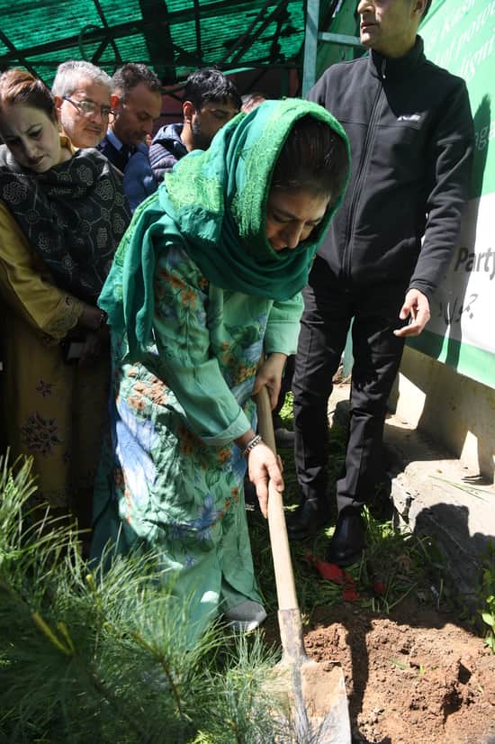 महबूबा मु्फ्ती पौधरोपण करती हुईं।