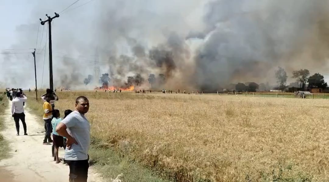 A spark from a short circuit reduced 50 bighas of wheat crop to ashes