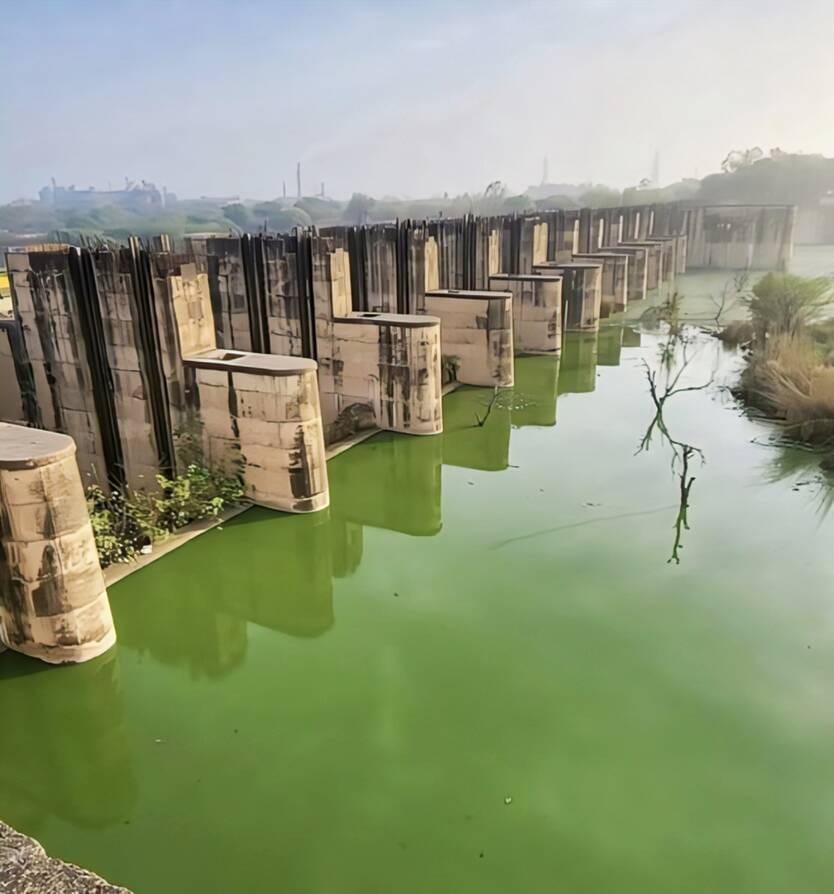 Signature campaign to declare Masani Barrage as wetland to begin from April 5