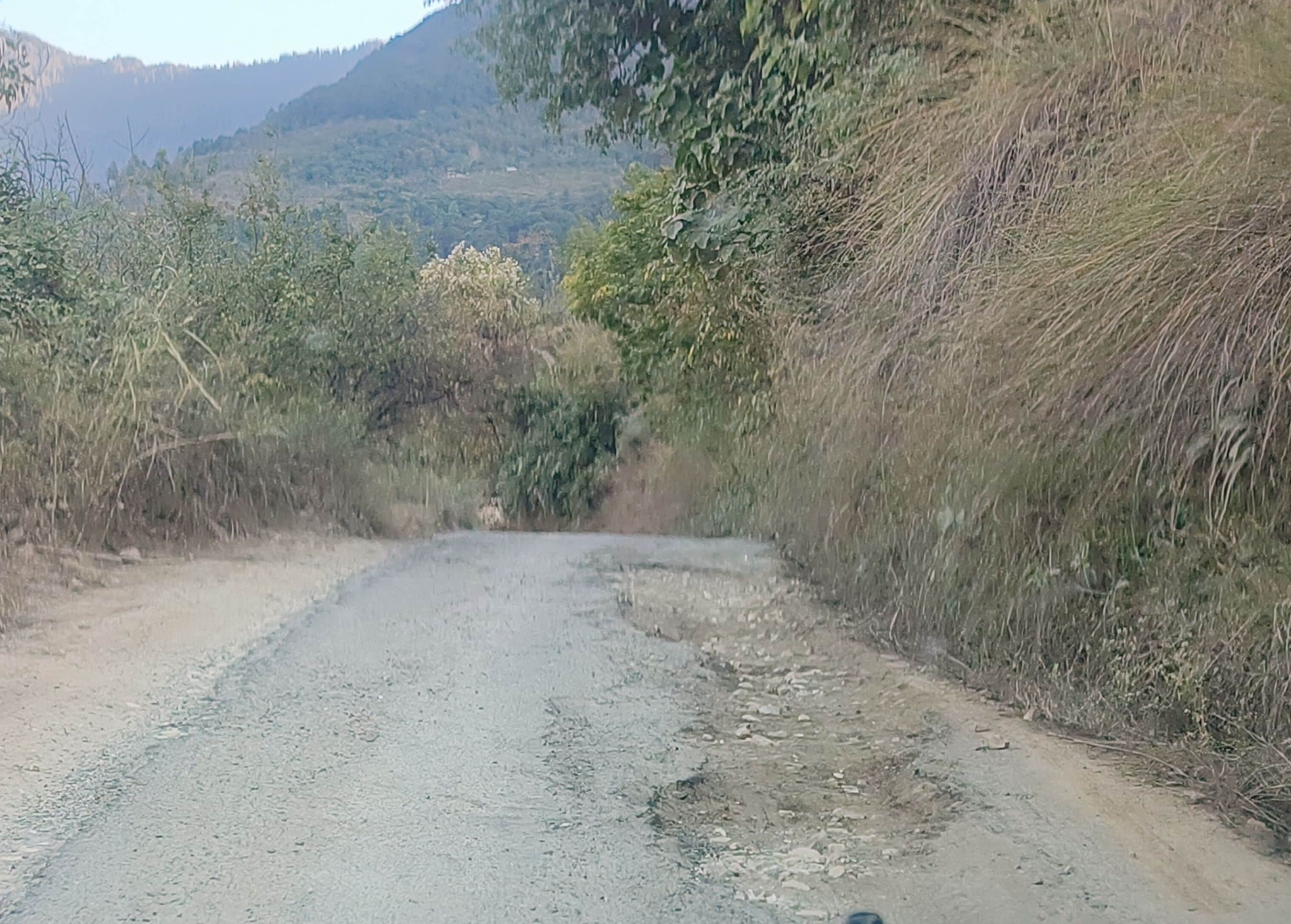 मशेली कैंची-कुमसू-करेरी सड़क पर गड्ढों की भरमार। संवाद