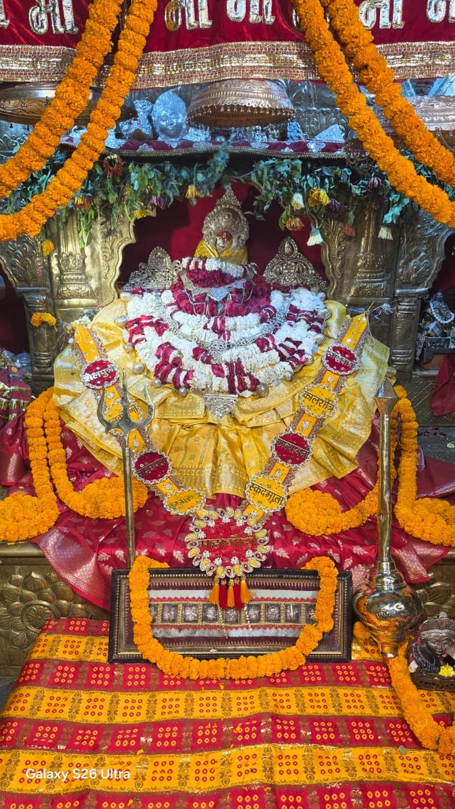 नगर के शीतला माता धाम पर चैत्र नवरात्र की सप्तमी पर सजा मां का दरबार। संवाद