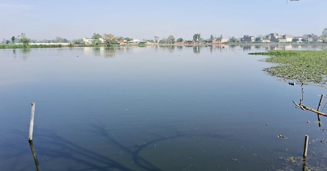 Two hundred bighas of land were submerged in the drain water, crops were destroyed.