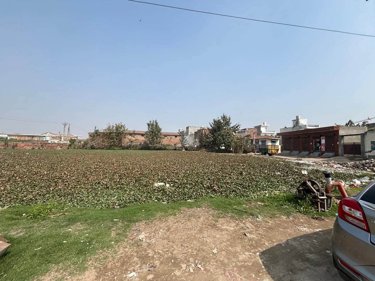 वार्ड नंबर 5 के सूरज नगर काटबाग़ कॉलोनी स्थित गंदे पानी का तालाब