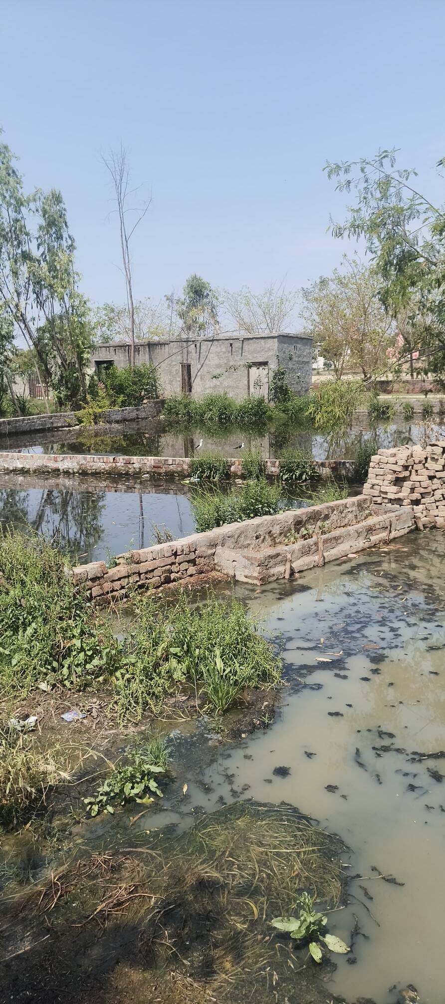 Protest Announced for the 30th Over Contaminated Water Issue
