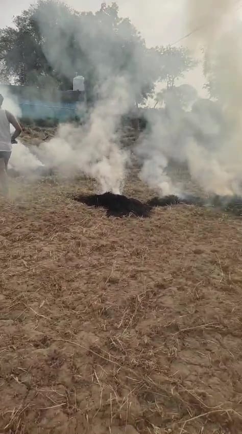 Wheat crop turns to ashes due to breakage of high tension line wire