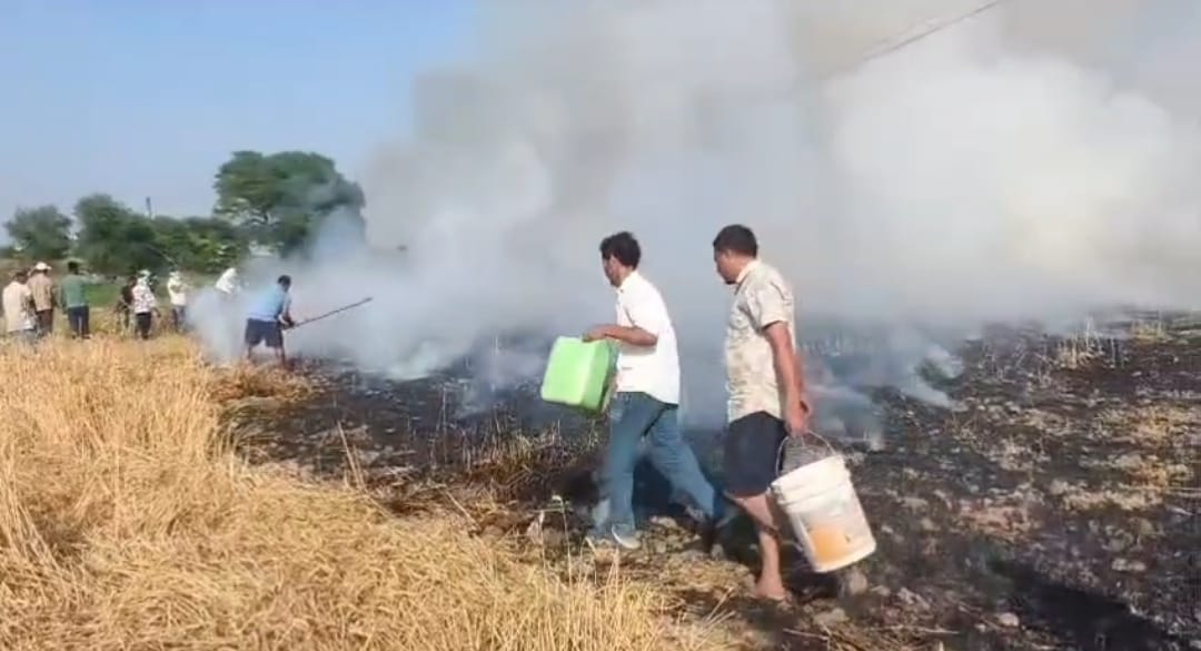 Fire Sparked by Short Circuit 3 Bighas of Wheat Crop Reduced to Ashes
