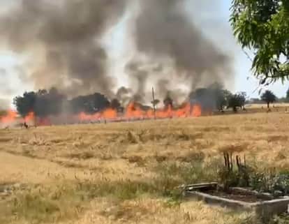 Sehore news: Sehore Fire Tragedy, 15 Acres Wheat Burnt, Farmers Protest Over No Insurance Cover