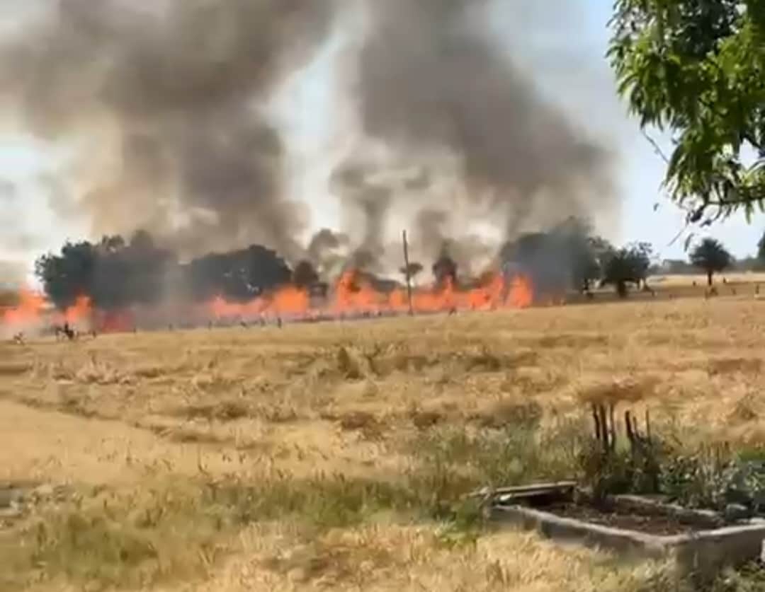 खेतों में लगी आग ने उजाड़े सपने