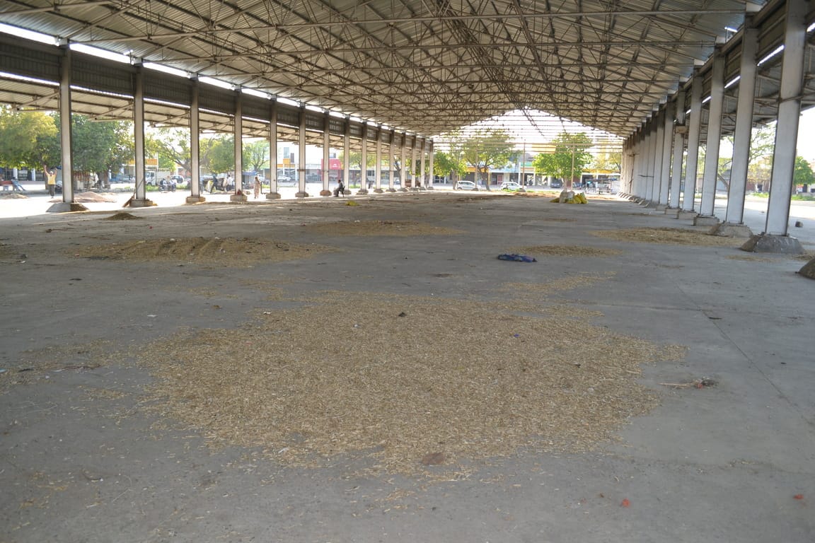 There was chaos in the market before the purchase, neither the sacks arrived nor the arrangements for cleaning and lighting were made.