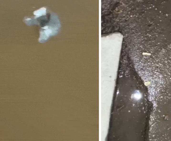 गोली का निशान