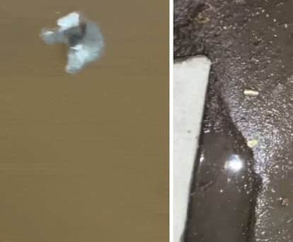 Seeking revenge for an attack, a criminal couple opened fire, then fled after issuing threats.