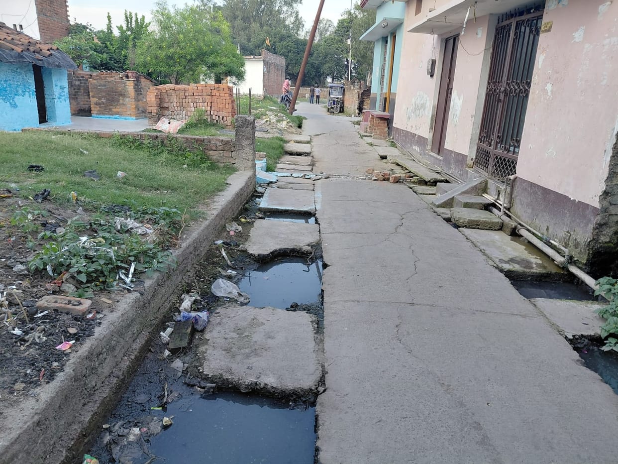 Mosquitoes increase due to negligence, there is a possibility of disease spreading