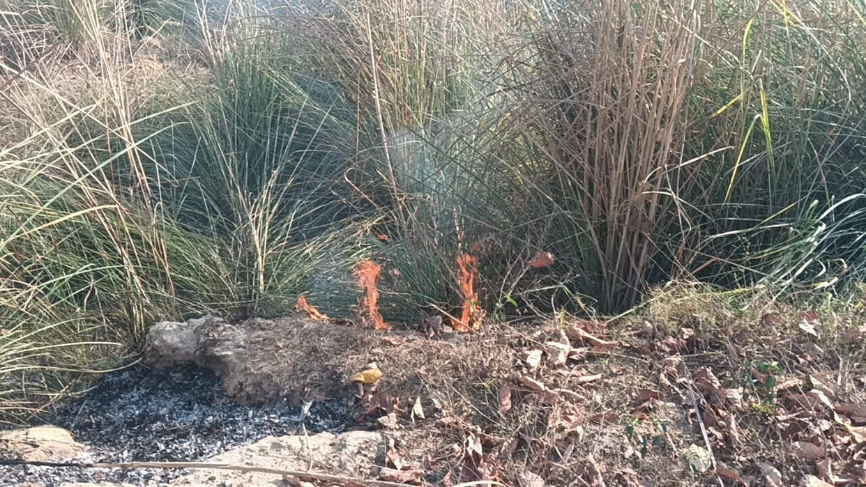 Spark from transformer, seven bigha wheat crop burnt to ashes