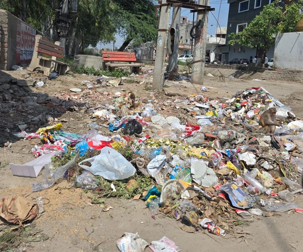 Municipal council busy in preparations for cleanliness survey, focus on improving rank