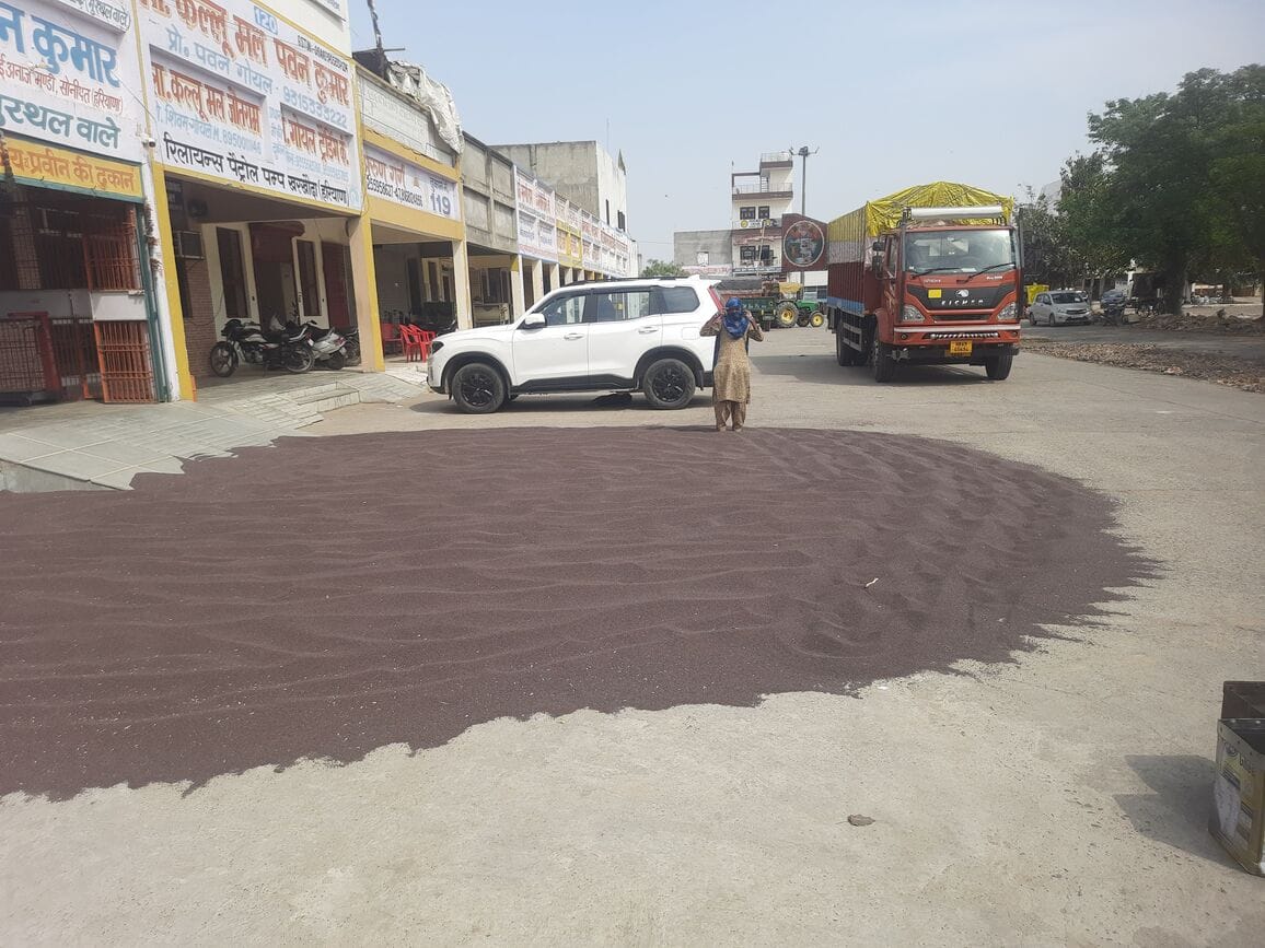 Registered farmers did not arrive, private millers purchased mustard up to 6335