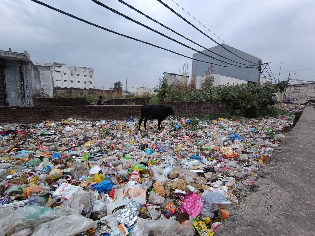 We will not improve... Piles of garbage on the Sitapur road, increasing the risk of disease