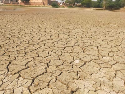 The pond has dried up...A water crisis for animals in Kumharia, villagers appeal for arrangements to provide water