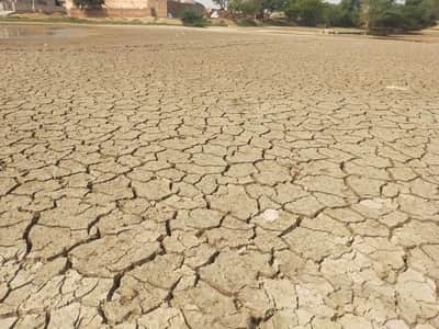 कुम्हारिया गांव का सूखा जोहड़। 