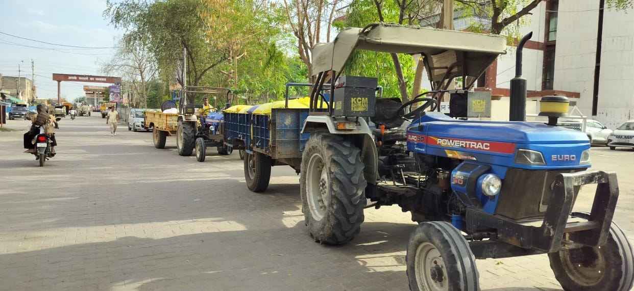 On the first day of government procurement, only five farmers sold mustard, while 300 obtained tokens for private sale.