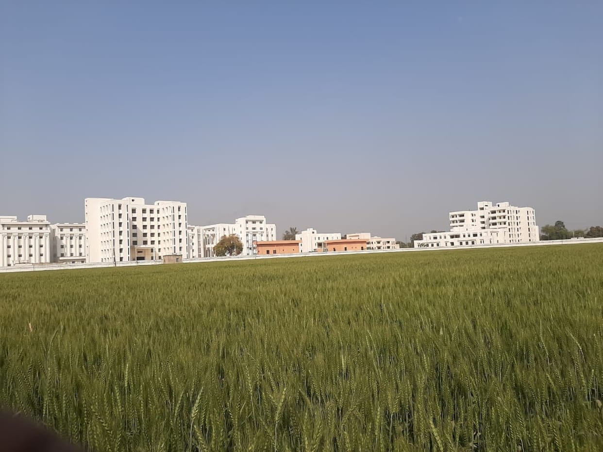 Proposal sent for super specialty, seven and a half acres of land will be acquired