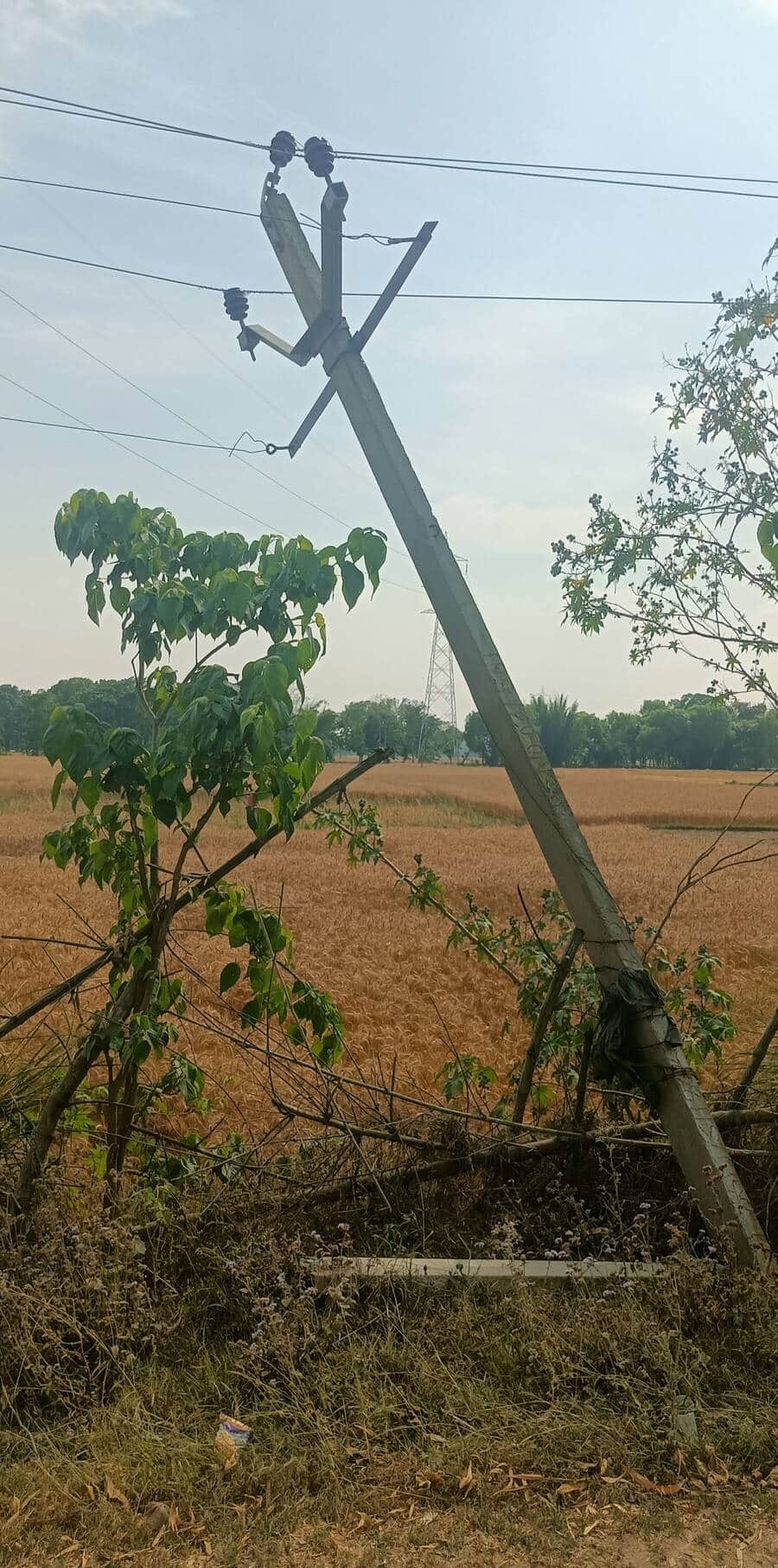 पकडी फीडर के छोटकी धनगढिया गांव के पास जोखवलिया मार्ग पर कम्पाइन की ठोकर से टुट कर गिरा 11हजार 